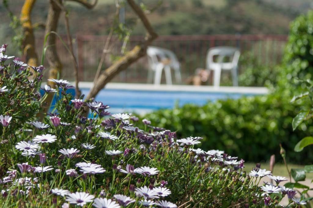 Rural El Puerto Mayordomo Ardales Dış mekan fotoğraf